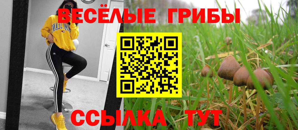 Псилоцибиновые грибы Magic Shrooms Дубна